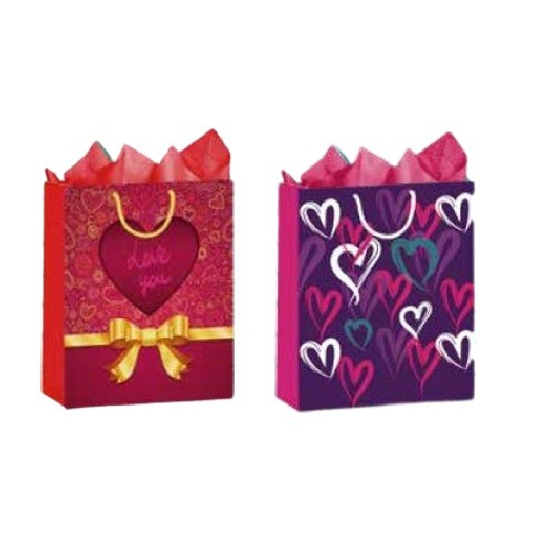 BOLSA PARA REGALO TODA OCASION MEDIANA-RIARCO-BOLSA/CAJA DE REGALO