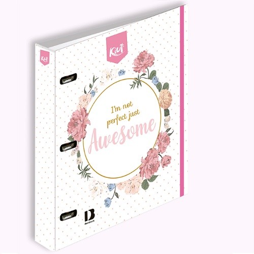 CARPETA PROFESIONAL 3A 100H RAY -NORMA-CARPETA