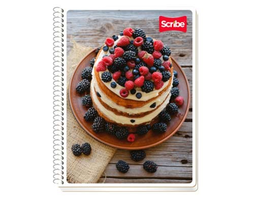 CUADERNO PROFESIONAL ESCOLAR MEGA 100H-SCRIBE-BLOCK O CUADERNOS