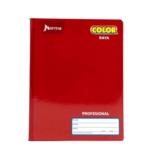 CUADERNO PROFESIONAL COSIDO 100H-N-COLOR-BLOCK O CUADERNOS
