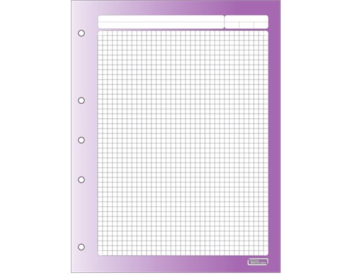 HOJAS DE REPUESTO PARA CARPETA CARTA 100H-PRINTAFORM-HOJA P/CARPETA