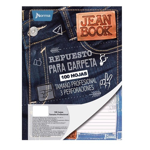 REPUESTO P/CARPETA PROFESIONAL 100H-NORMA-HOJA P/CARPETA
